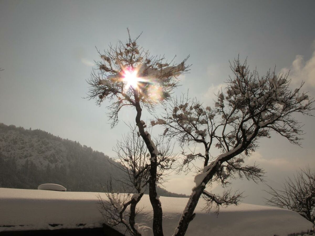 Holiday room Doppelzimmer mit Dusche, WC,TV,Balkon - Outdoor photo 3