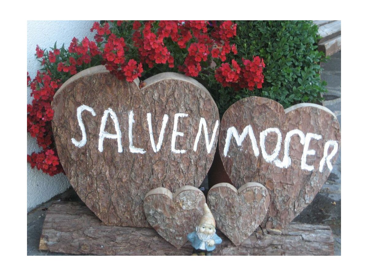 Apartment Apart."Kaiserblick"/1 Schlafraum/DU,WC,