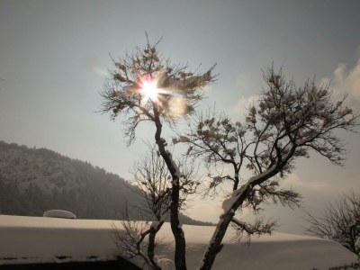 Apartment Apart."Kaiserblick"/1 Schlafraum/DU,WC, - Environment photo 22