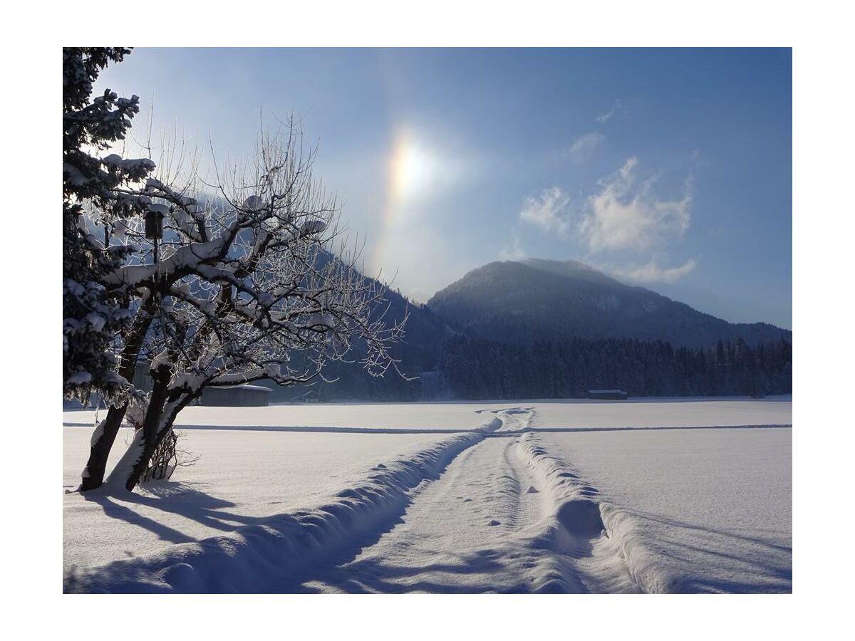 Apartment Apartment "Kaiserblick" /1 Schlafraum/Dusche, WC - Outdoor photo 4