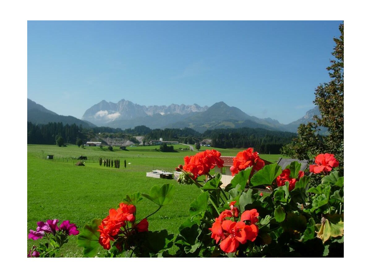 Apartment Studio "Unterberg"-Wohn-Schlafraum/DU/WC,Erker