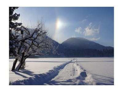 Apartment Studio "Unterberg"-Wohn-Schlafraum/DU/WC,Erker - Outdoor photo 5