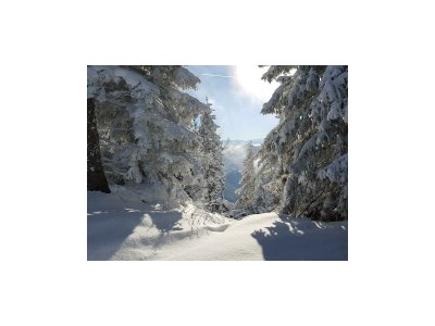 Apartment Appartement/Fewo, Toilette und Bad/Dusche getrennt - Outdoor photo 7