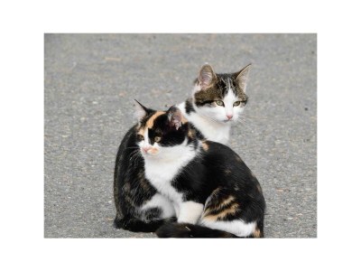 Apartment Apartment"2" - 1Schlafzi/Du/WC,TV,Balkon - Outdoor photo 6