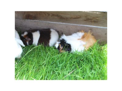 Apartment Apartment"2" - 1Schlafzi/Du/WC,TV,Balkon - Outdoor photo 7