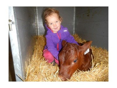 Apartment Apartment"2" - 1Schlafzi/Du/WC,TV,Balkon - Outdoor photo 8