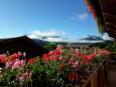 Holiday room Doppelzimmer mit Dusche, WC,TV - Features photo 18