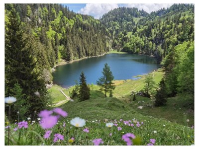 Apartment Apartment/1 Schlafraum/2xDusche/WC,TV,Blk - Outdoor photo 25
