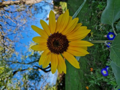 Apartment App."1" -1 Schlafraum/DU/ WC ,TV,Balkon - Outdoor photo 9