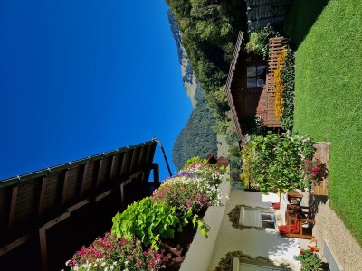 Apartment App."1" -1 Schlafraum/DU/ WC ,TV,Balkon - Outdoor photo 10