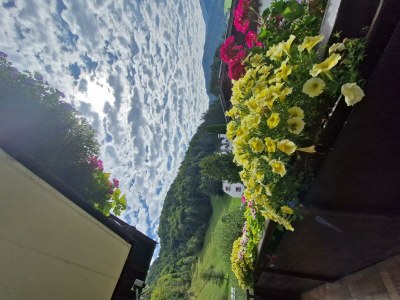 Apartment App."1" -1 Schlafraum/DU/ WC ,TV,Balkon - Features photo 22