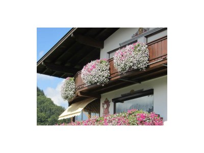 Holiday room DZ "Typ1"- DU/WC,TV - Outdoor photo 11