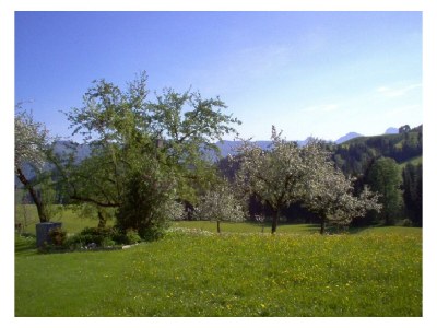 Apartment Apartment Schnappenblick Nr.1" - 1 Schlafzi/Dusche/Bad/WC,TV,Blk - Outdoor photo 8