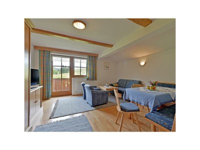 Apartment Apartment Kaiserblick Nr.2 - 1 Schlafraum/Du,WC,TV - Features photo 12