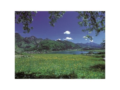 Apartment Ferienwohnung Sonnenhaus - Outdoor photo 13