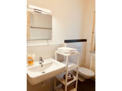 Apartment Mountain Inn Mini Chalet - Features photo 26