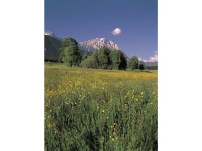 Apartment Mountain Inn Chalet - Outdoor photo 22