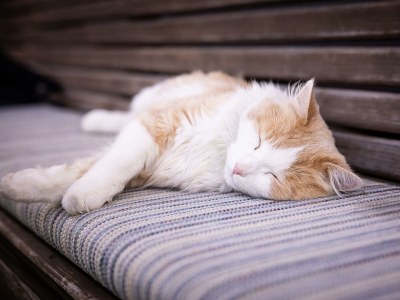 Apartment Seestüberl/1 Schlafraum/Du, WC,Balkon - Outdoor photo 14