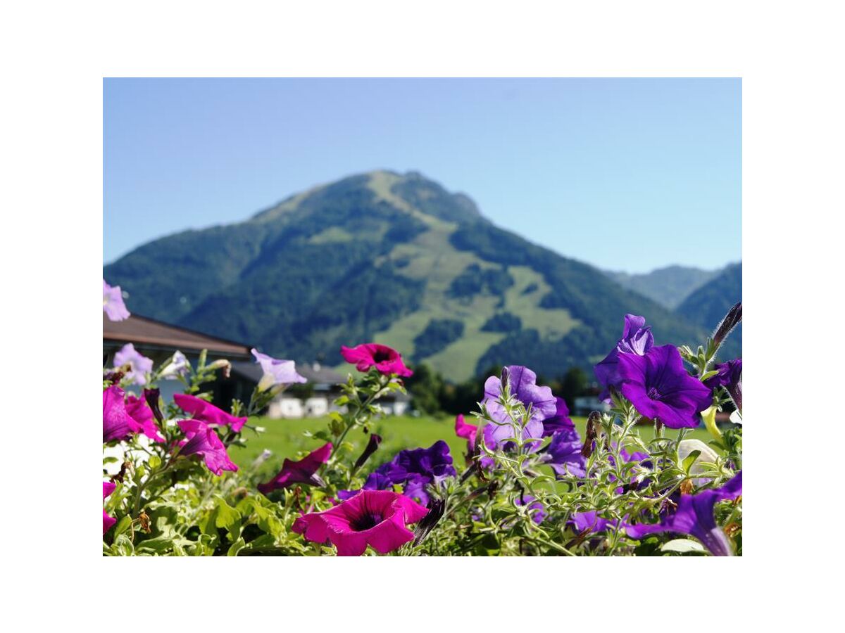 Apartment Apartment"2" -1 Schlafraum/Du/WC,Blk,Erker - Outdoor photo 2