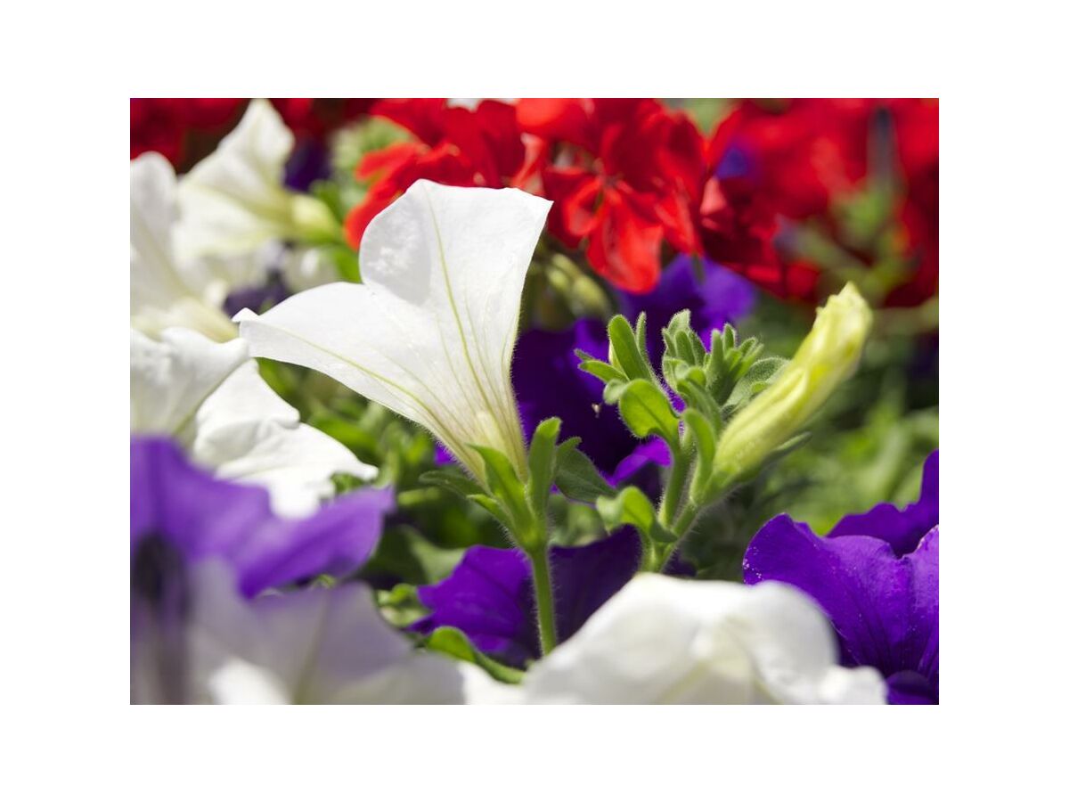 Apartment Apartment"2" -1 Schlafraum/Du/WC,Blk,Erker - Outdoor photo 4