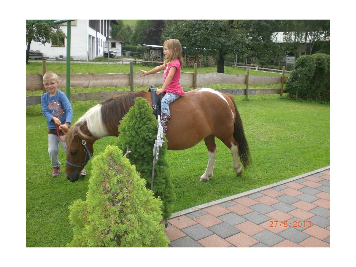 Apartment App "Zahmer Kaiser"/2 Schlafr./Du,WC,TV,