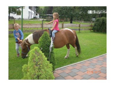 Apartment App "Zahmer Kaiser"/2 Schlafr./Du,WC,TV, in Walchsee - Apartment