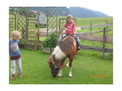 Apartment App "Zahmer Kaiser"/2 Schlafr./Du,WC,TV, - Outdoor photo 2