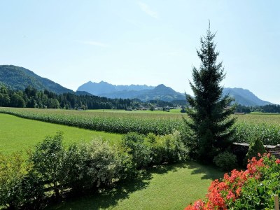 Apartment Ap"4" -2 Schlafräume/2DU/WC,Tel,2Flat-TV - Outdoor photo 24