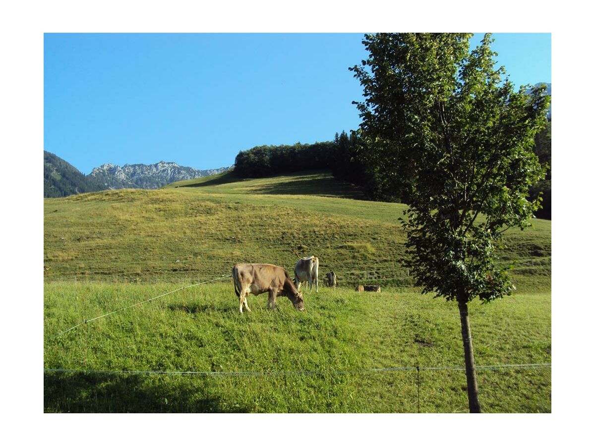 Apartment Appartement Nr. 5, Wohn u. Schlafraum getrennt - Outdoor photo 3