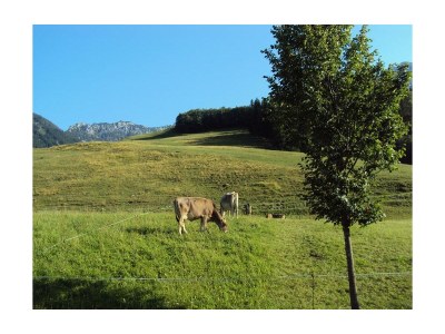 Apartment Appartement Nr. 5, Wohn u. Schlafraum getrennt - Outdoor photo 3