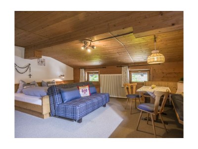 Apartment Appartement Nr. 6 "Plus", 1-2 Schlafräume - Features photo 13