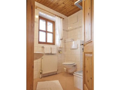 Apartment Ferienwohnung "4" -DU/WC, 1 Schlafraum, Kachelofen - Features photo 19