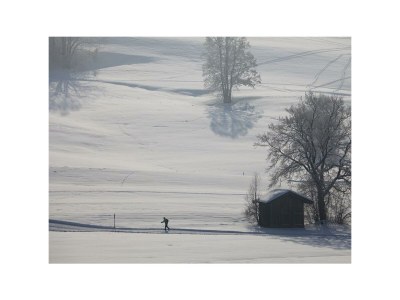 Apartment Apartment"3"/1 Schlafraum/Dusche,WC,TV,Blk in Schwendt - Apartment