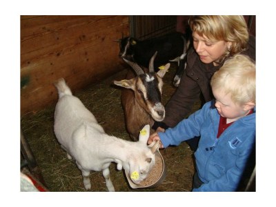 Apartment Ferienwohnung Seeblick (Apartment für 2 - 4 P.) - Outdoor photo 9