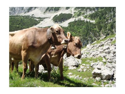 Apartment Ferienwohnung Seeblick (Apartment für 2 - 4 P.) - Outdoor photo 14