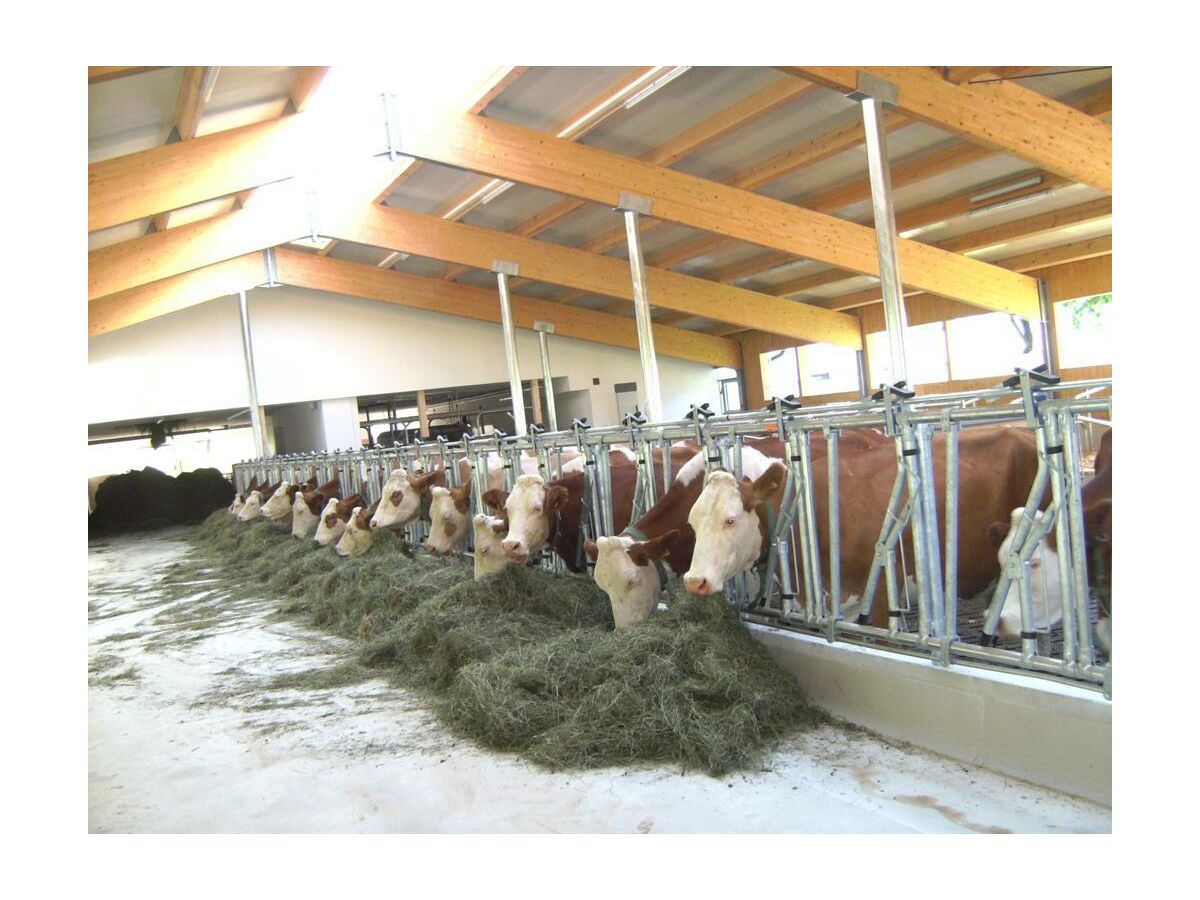 Apartment App."2" -1 Schlafraum/Dusche, WC - Outdoor photo 3