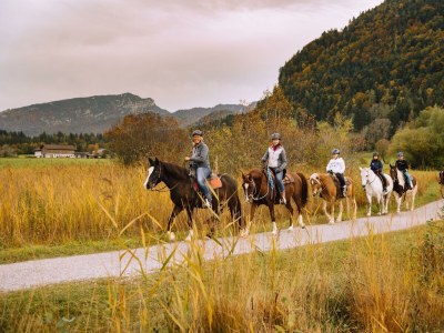 Apartment Ferienwohnung "Bauernhaus" - Outdoor photo 23