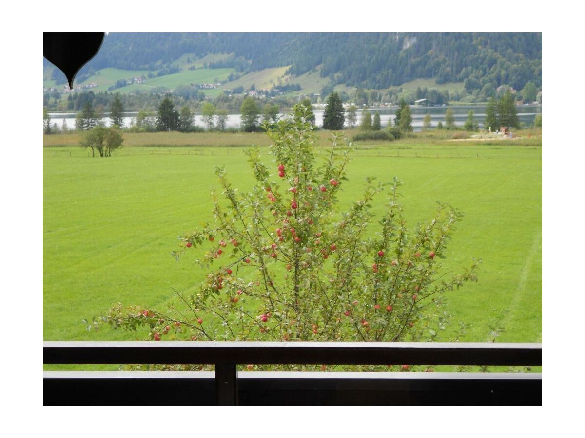 Apartment App."1" - 1 Schlafraum/Bad, WC,Balkon - Outdoor photo 5