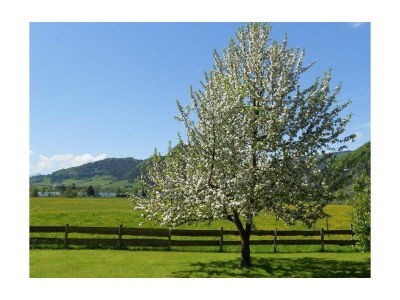 Apartment App."1" - 1 Schlafraum/Bad, WC,Balkon - Outdoor photo 6