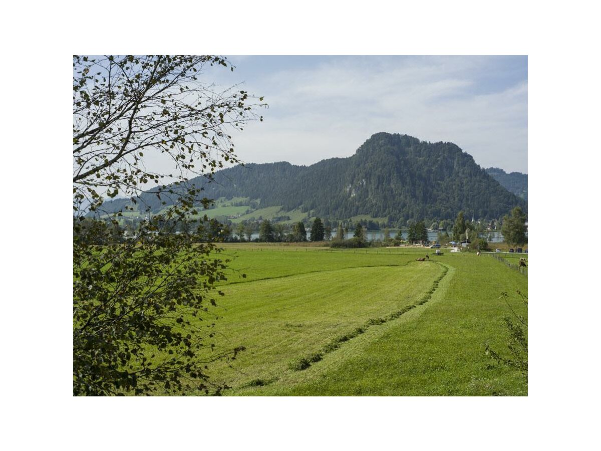 Apartment App."2" -1 Schlafraum/DU,WC,Balkon - Outdoor photo 4