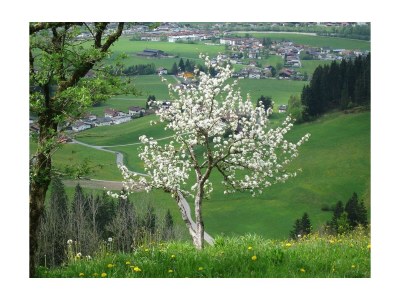 Apartment Appartement Unterberg - Outdoor photo 12