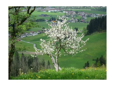 Apartment Appartement Taubensee - Outdoor photo 11