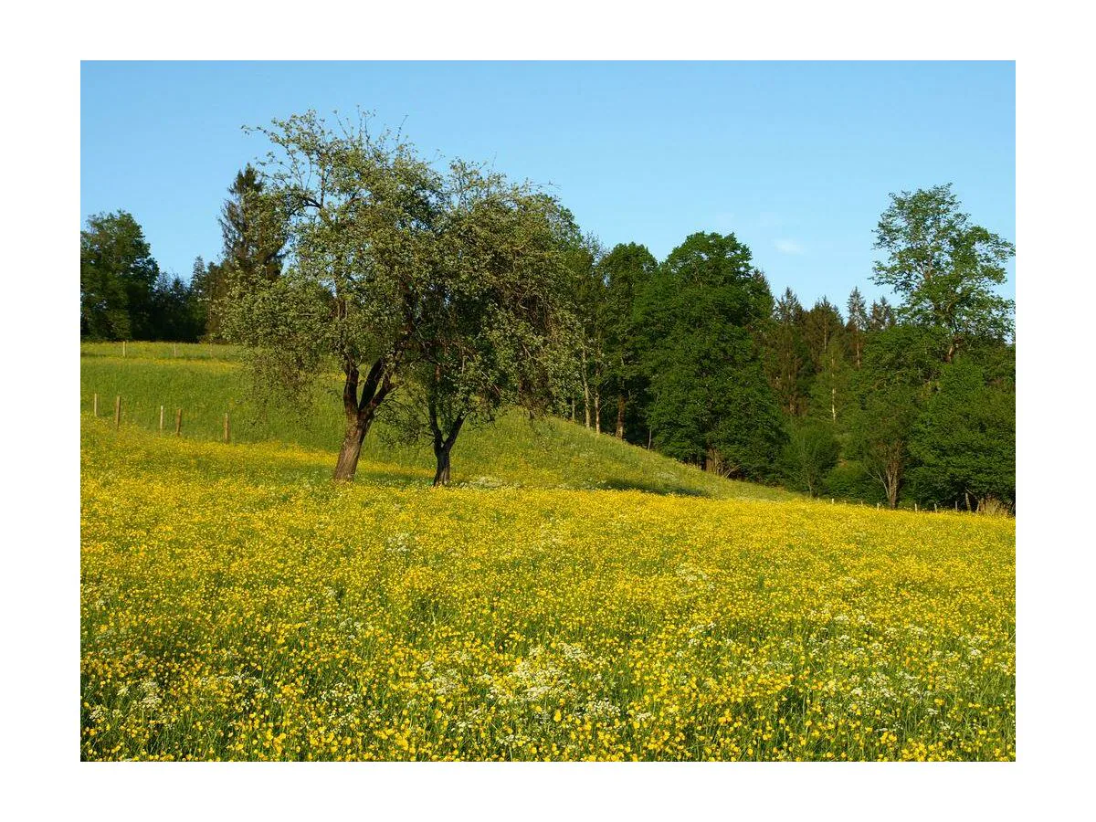 Apartment Appartement/1 Schlafraum/Dusche,WC,TV,Blk - Outdoor photo 3