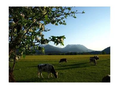 Apartment Appartement/1 Schlafraum/Dusche,WC,TV,Blk - Outdoor photo 12