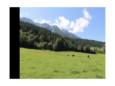 Apartment Zahmer Kaiser 1 - Outdoor photo 10