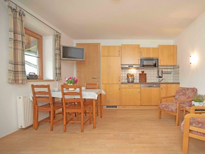 Apartment Lamplhofsuite/1 Schlafr./DU/Whirlbad, - Features photo 13