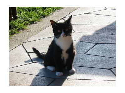 Apartment Ferienhaus mit 5 Schlafzimmern - Outdoor photo 3