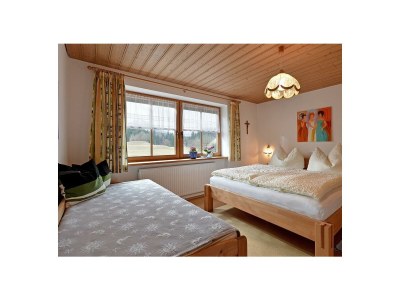 Apartment Apartment"1" -1 Schlafraum/Du/WC,Kachelofen - Features photo 14