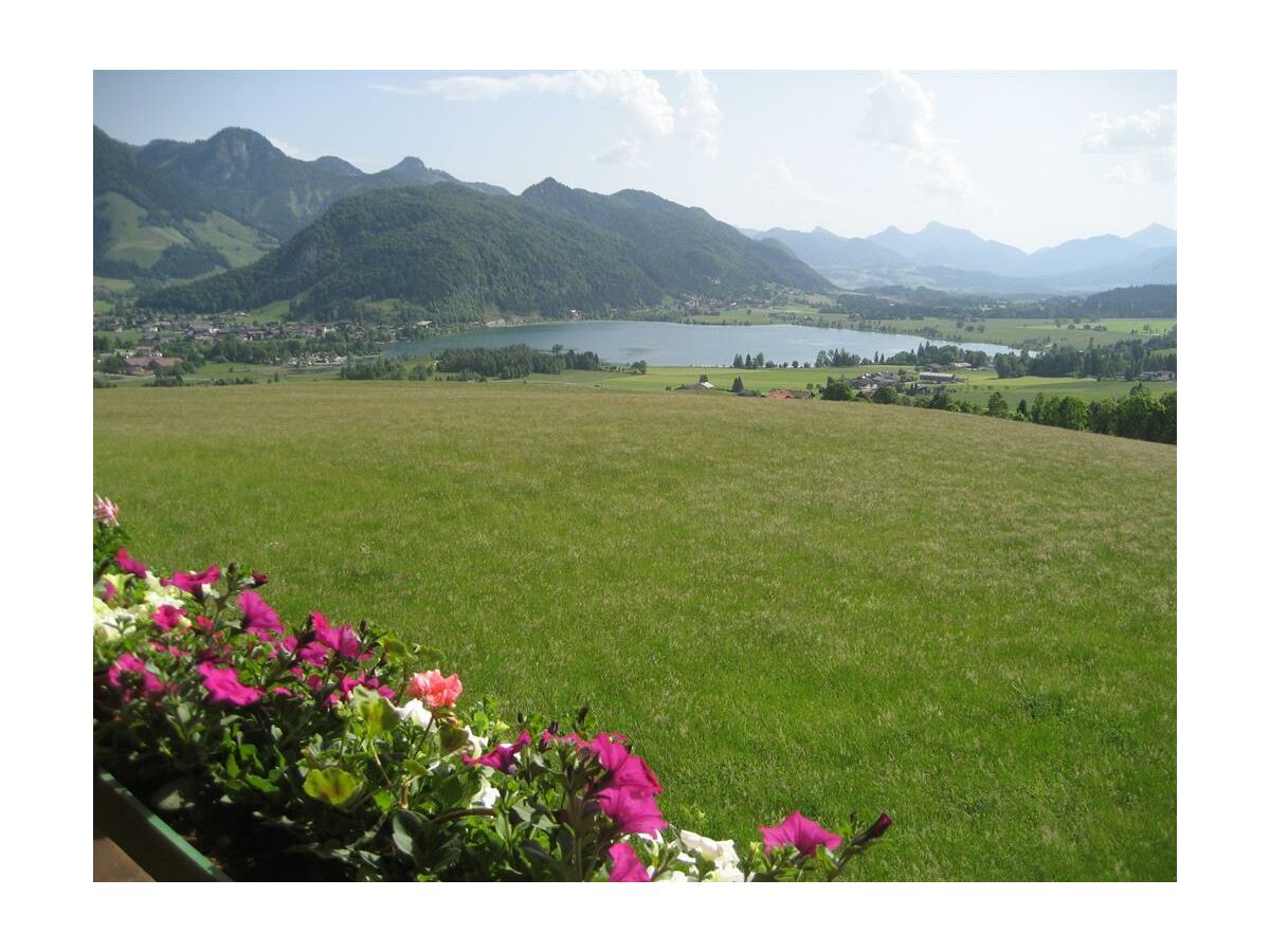 Apartment Ap./4 Schlafräume/Du od. Bad,WC,TV,Balko