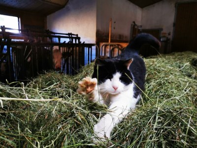 Holiday room Doppelzimmer, Dusche, WC, 1 Schlafraum - Outdoor photo 30